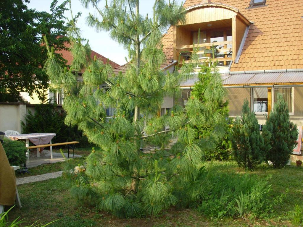 Komfort Apartman Eger Zewnętrze zdjęcie